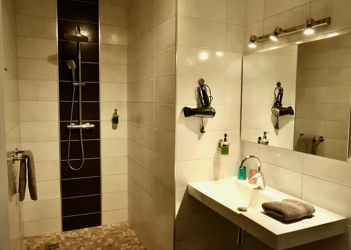 オテル ル キャトルズ 3* フィジャック